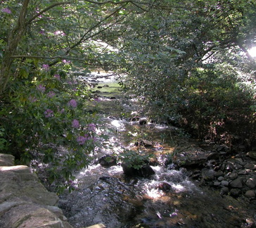 Stream