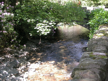 Bridge