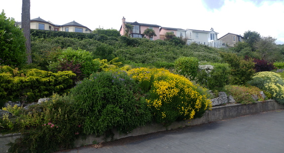 Flower beds