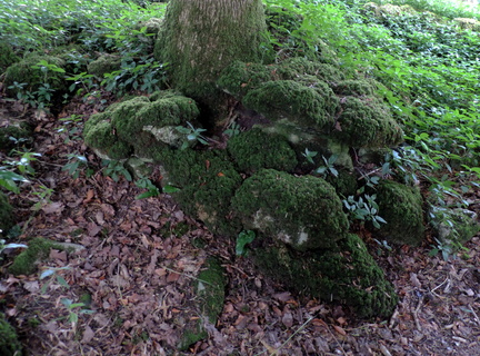 Mossy rocks