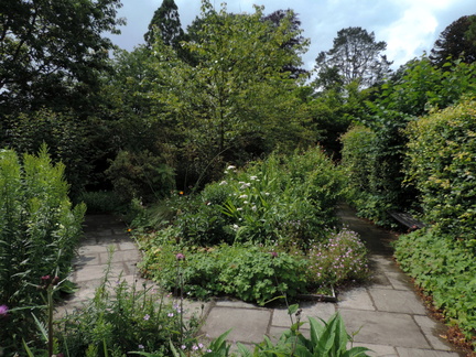 Sensory Garden