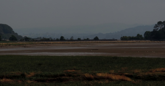 Mud flats