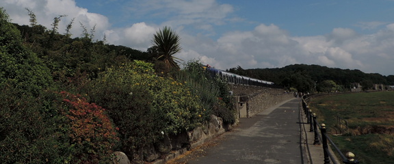 Train
