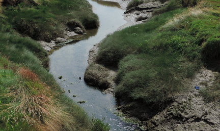 Stream