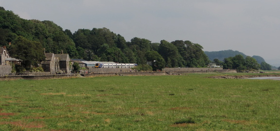 Train