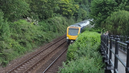 Train