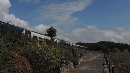 Train