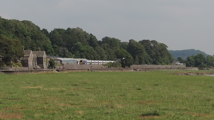 29-Train