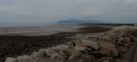 Along the coast