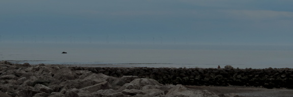 Turbines