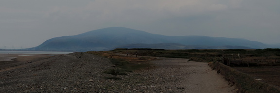 Along the coast