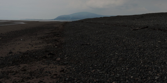 Along the coast