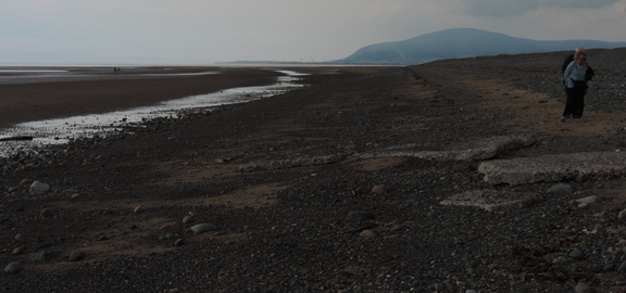 Along the beach