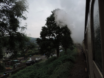 Along the train