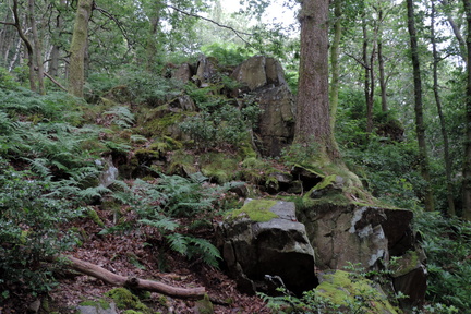 Rocks