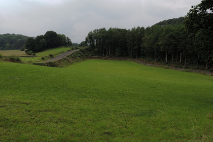 Field