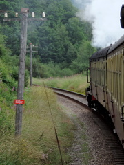 Along the train