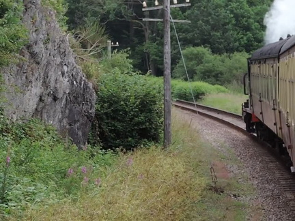 Along the train