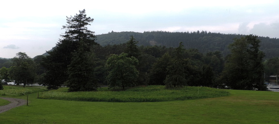 Field