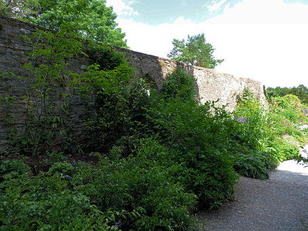 Wall