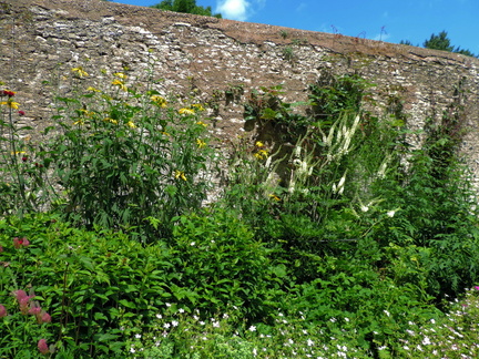 Herbaceous border