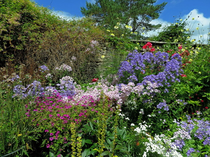 Herbaceous border