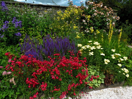Herbaceous border