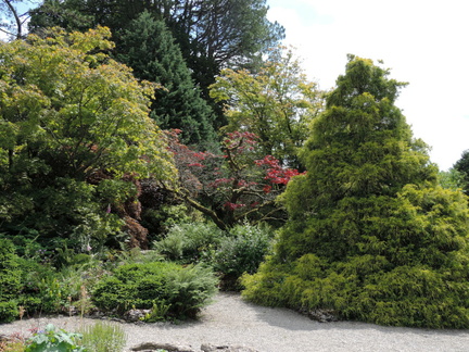 Trees