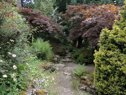 Rock garden