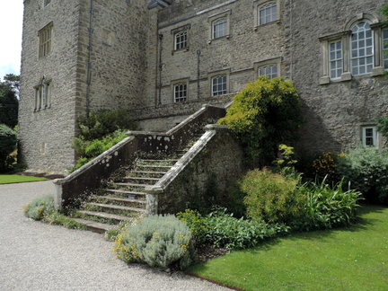 Overgrown steps