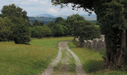 Down the path