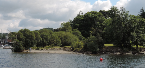 Shoreline