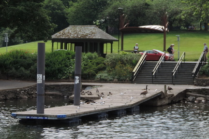 Jetty
