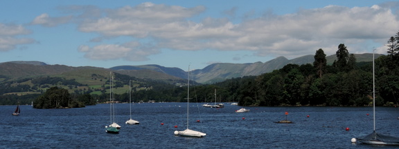 Along the lake