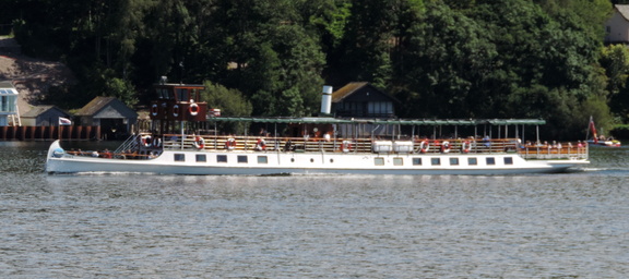 Tern