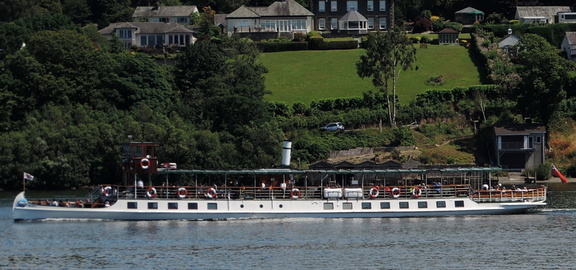 Tern