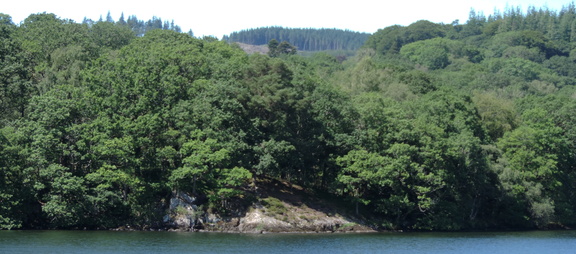Wooded bank