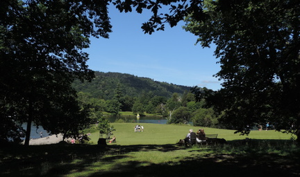 Field