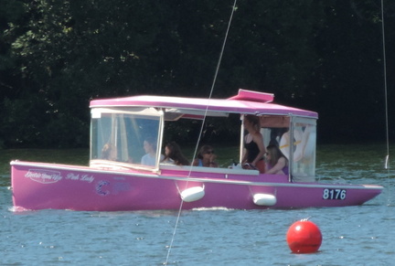 Pink Lady