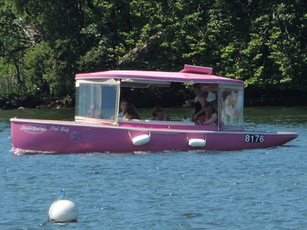 Pink Lady