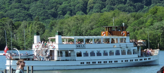 Swan