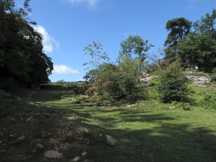 Clearing