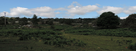 Rocks