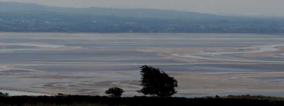 Across the bay