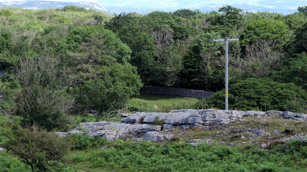 Rocks
