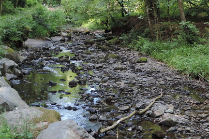 Stream