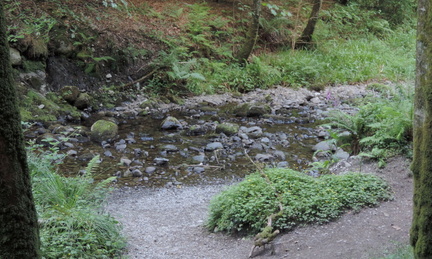 Stream