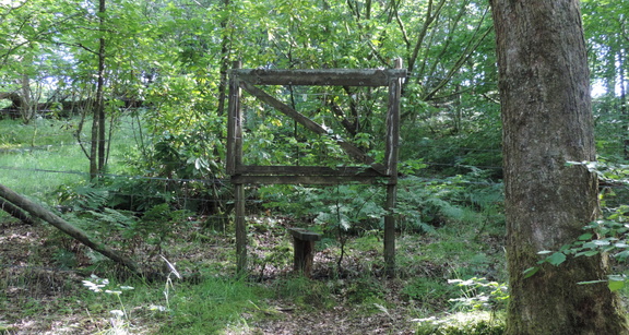 Fenced area