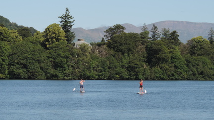 Paddleboards