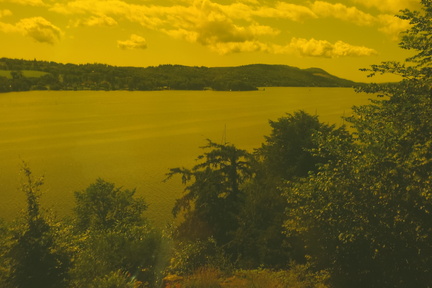 Yellow filter